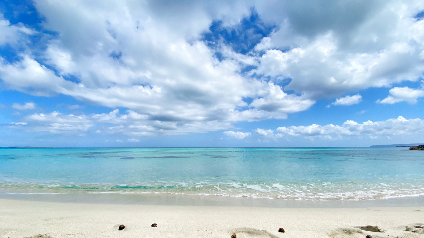 There is a particular kind of quiet that only March mornings on an island can of