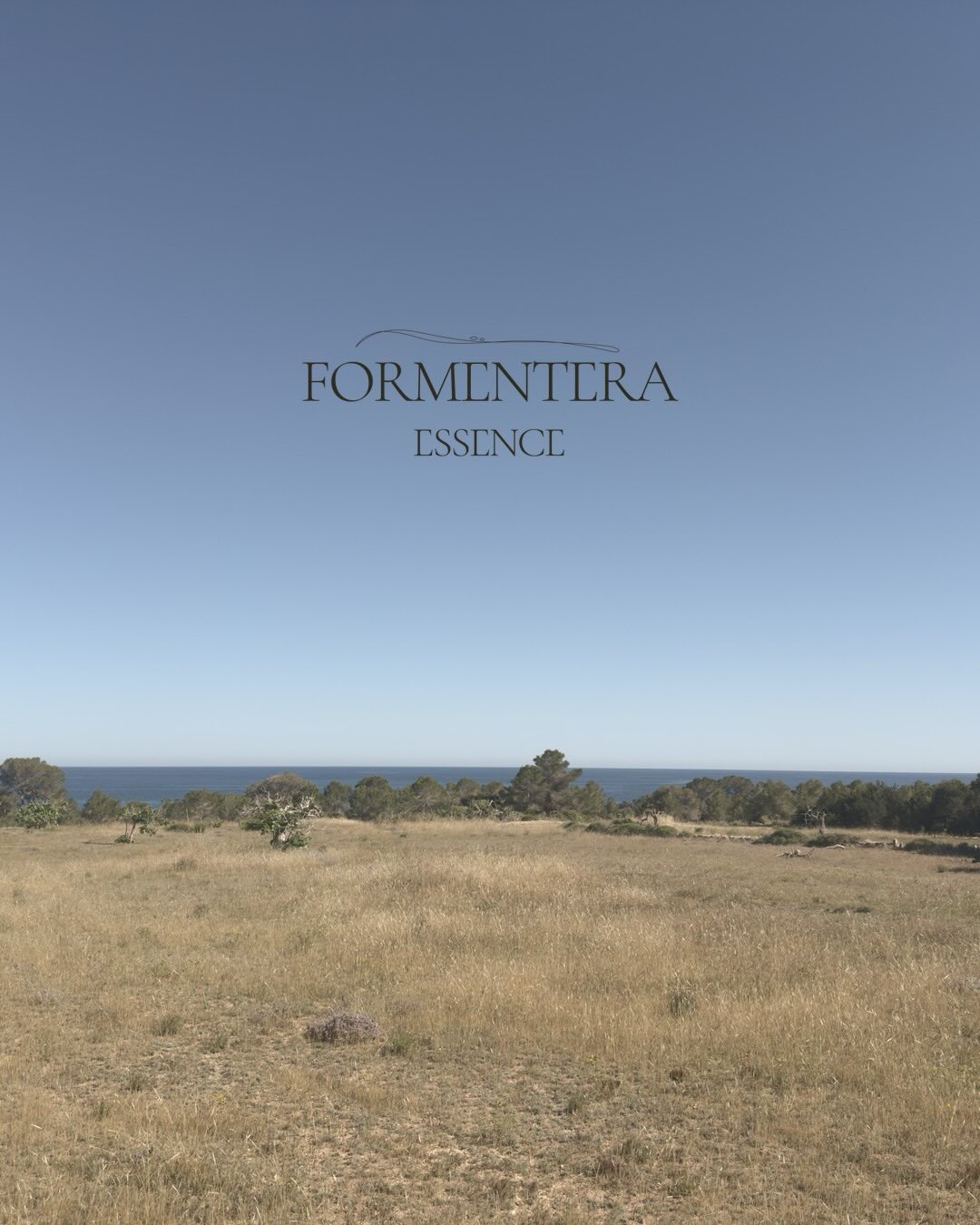 Born on the same island as us. @formentera.essence — a home-fragrance house comp
